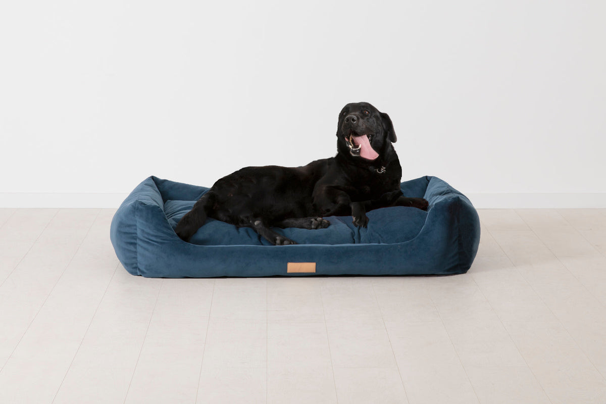 K9-02 Dog Basket Large