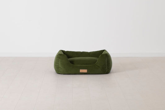 Vine Image 01 - K9 02 Small Front View