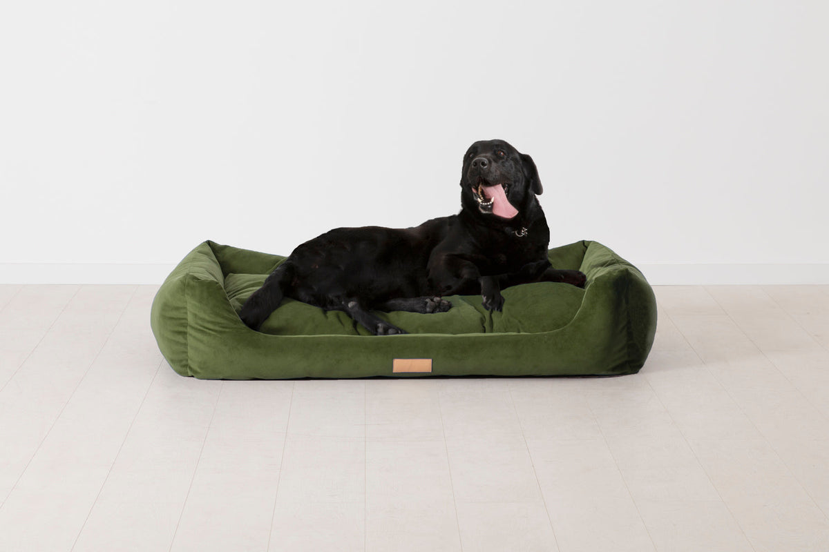 K9-02 Dog Basket Large