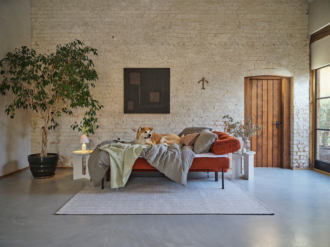 Here's Why Sofa Beds Are the New Must-Have Furniture