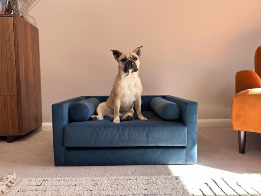 Dog Bed Ideas