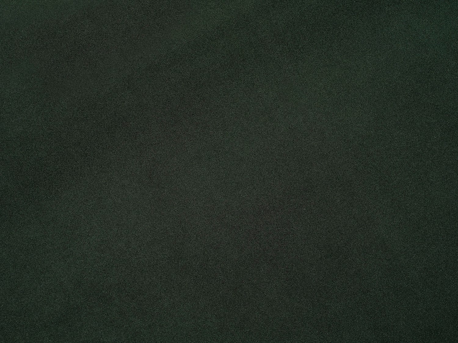 Image 1 Forest