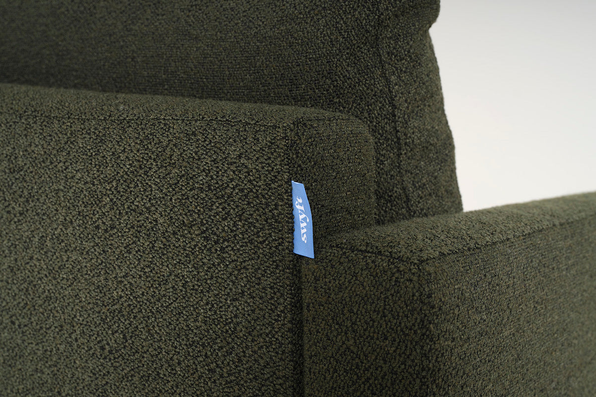 Model 01 Armchair, Fern