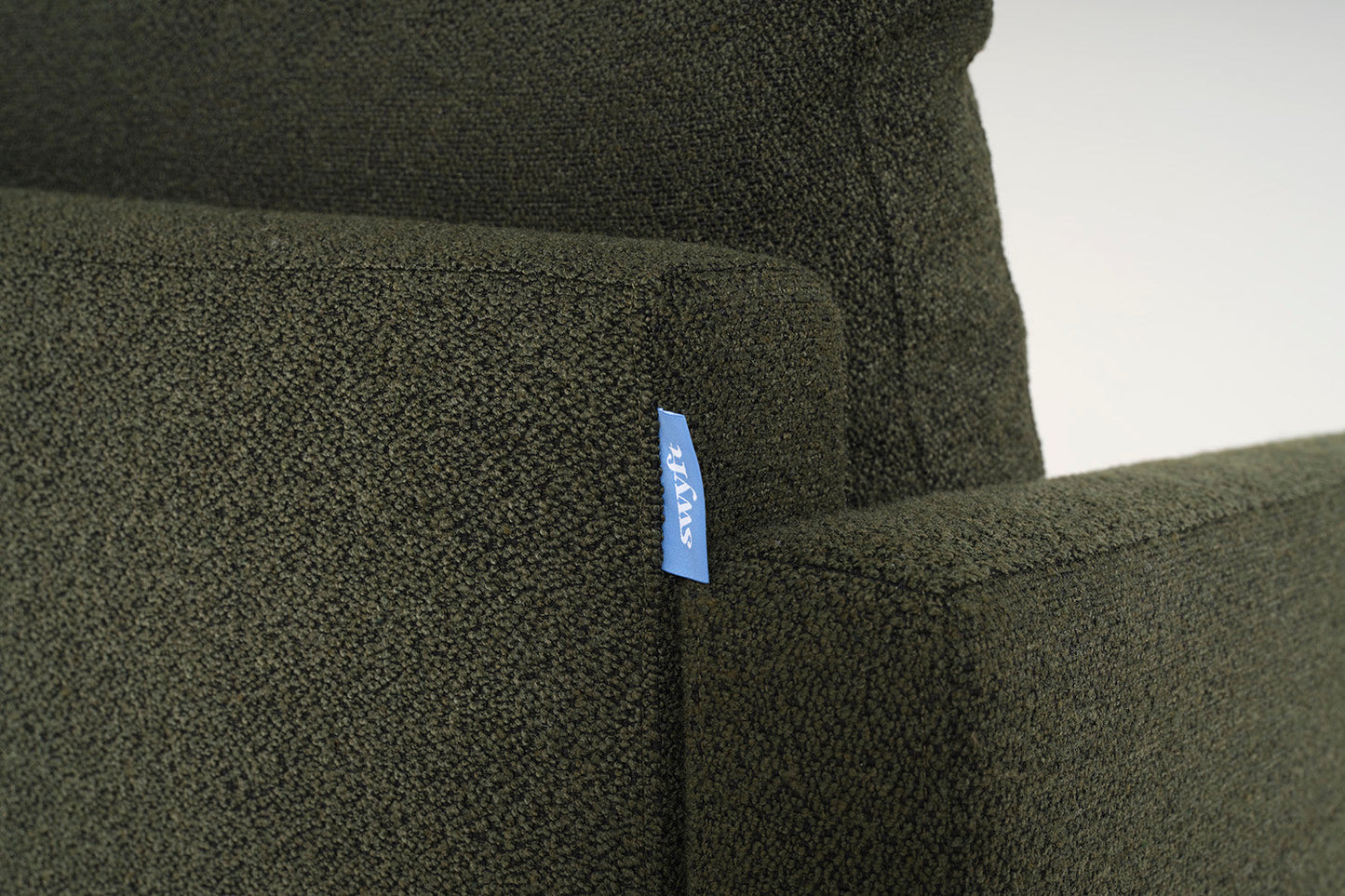 Model 01 Armchair, Fern