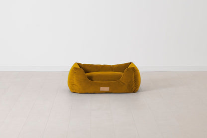 Mustard Image 01 - K9 02 Small Front View